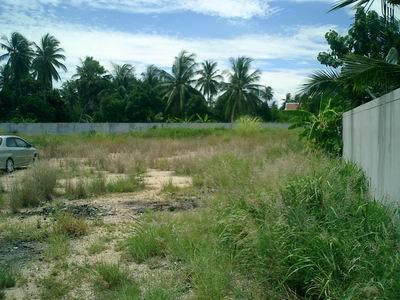 pic Ideal plot at quiet location