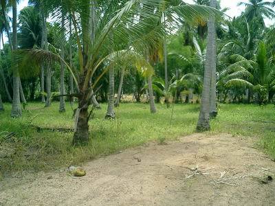 pic Great Land