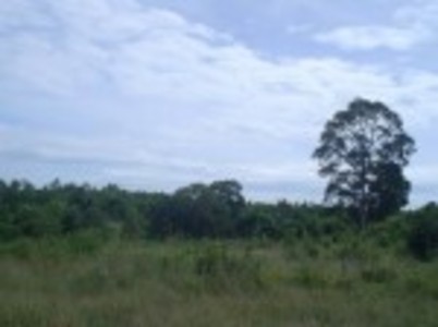 pic Land for sale on East Pattaya, 18 Rai