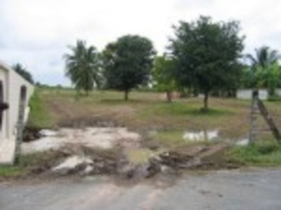 pic Exterior Size 4 Rai land for sale 