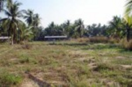 pic 131 Sqm land for sale 