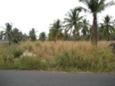 pic 5 Rai Land For Sale in Marprachan Lake