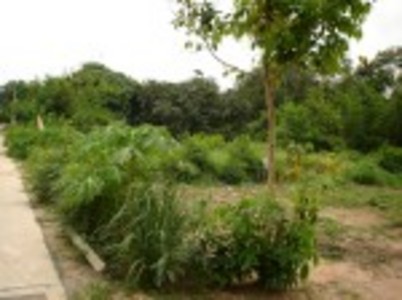 pic Superb parcel of land: 570 Twah