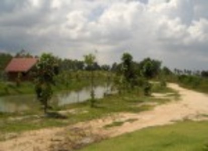 pic 34 Rai Land For Sale in North Pattaya