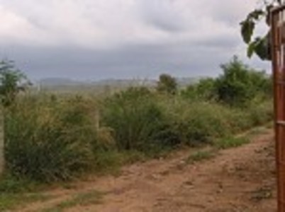 pic Exterior Size 5 Sqm land for sale 