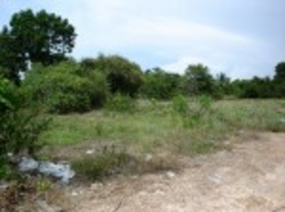 pic Exterior Size 5 Rai land for sale 