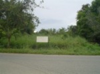 pic Exterior Size 1 Rai land for sale 