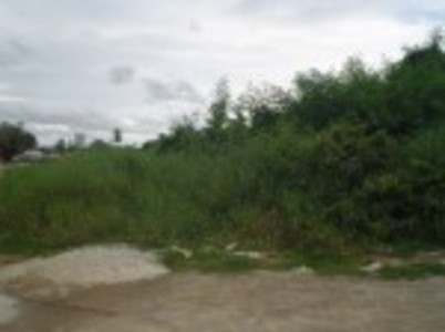 pic 105 Twah land for sale in Baan Ampur
