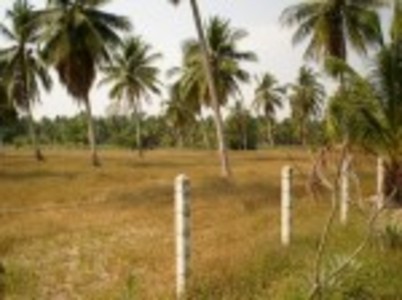 pic Exterior Size 4 Rai land for sale 