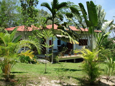 pic  ATRIUM HOUSE IN AO NANG