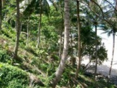 pic Land - Nai Thon , Phuket west cost
