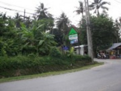 pic  Land - Kata , Phuket west cost