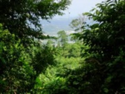 pic Land - Kathu , Phuket