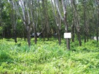 pic Ideal for private Villas