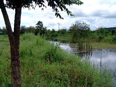 pic Manyana Park 168 Type