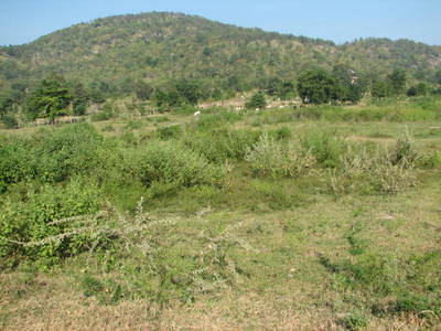 pic Land for Sale in Hua Hin 