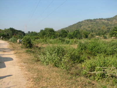 pic Land for Sale in Hua Hin 
