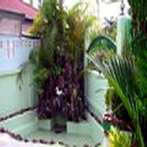pic (250m2).Palm Springs, East-Pattaya