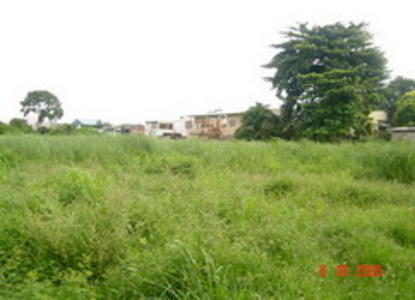 pic Large Plot Of Land For Sale. 
