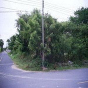 pic Land For Sale.Pratamnak Soi-6