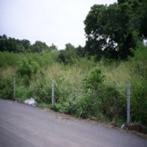 pic Land For Sale.Pratamnak Soi-3.