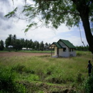 pic Land for Sale. (4 Rai).Sukhumvit Rd
