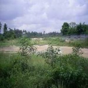 pic Land for Sale - 8 Plots + Road