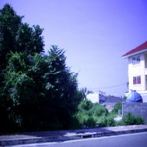 pic (300 Twah).Pratamnak Hill