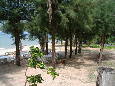pic Payoon beach land - 6 Rai for sale!