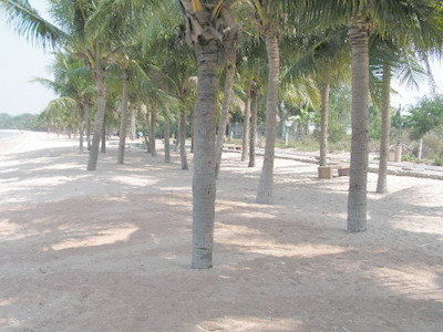 pic Beach Front Land For Sale!!!