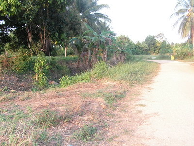 pic Lands For Sale!!! In Babgsare!!!