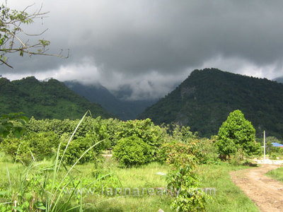 pic 28 Rai in Mae Sai