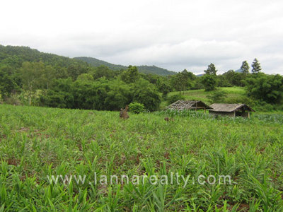 pic 30 Rai near Khun Korn Waterfall