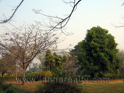 pic Developed Land Ready for House