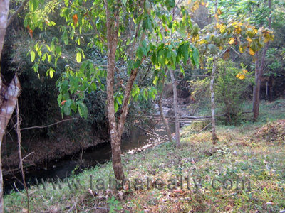 pic 3 Rai on Mountain Stream