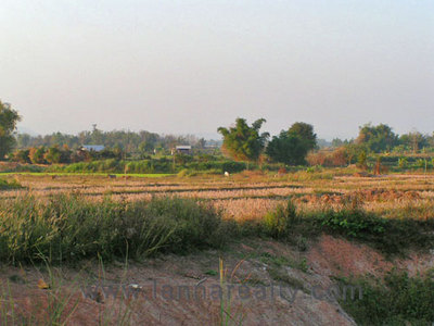 pic 12 Rai on Rolling Rice Fields