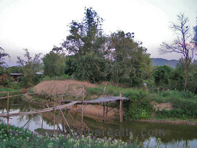 pic Land Surrounded by Water