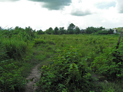 pic 10 Rai Close to City