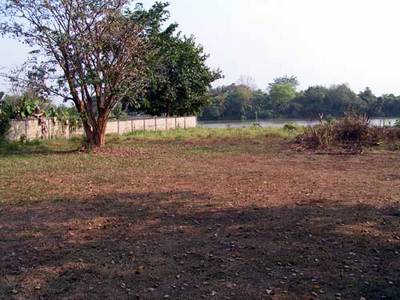 pic Land near Maekok River