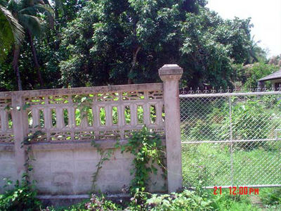pic 154 sq.wah of land