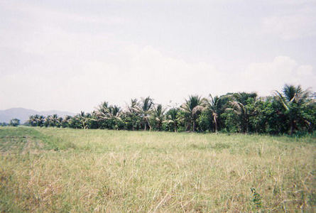 pic Beautiful mountain-view land