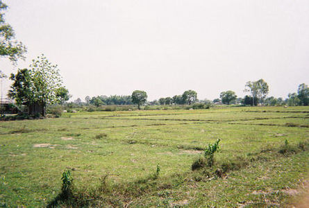 pic Lovely piece of mountain-view land