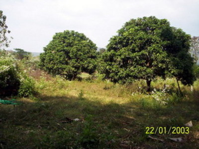 pic Located in the peaceful district