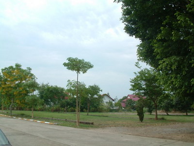 pic Land on Chiangmai-Maejoe Road