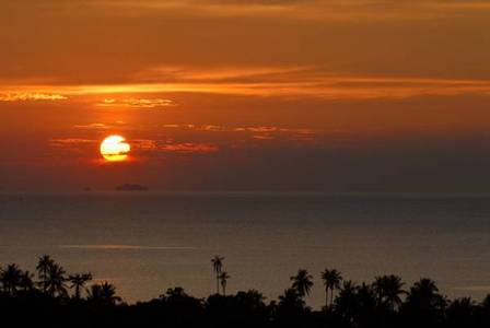 pic Ocean & Sunset View Land Plots