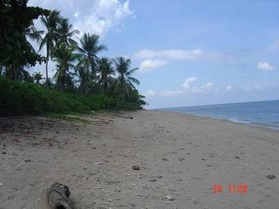 pic Beautiful Beachfront Land In Lanta 