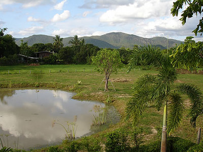 pic Land with Mountain View