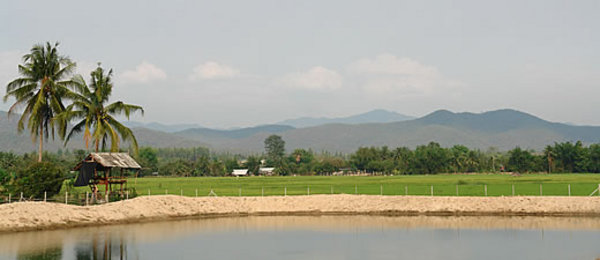 pic  Lake front with mountain view