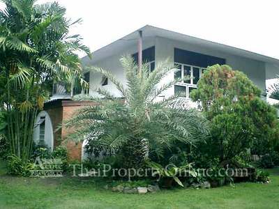 pic Single House for rent or sale