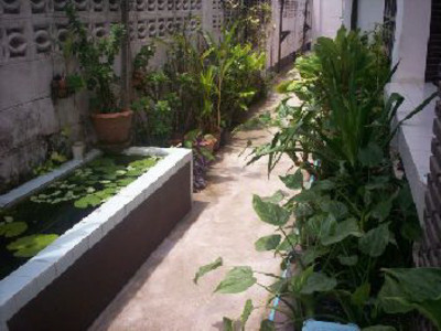 pic Detached bungalow in Central Pattaya 